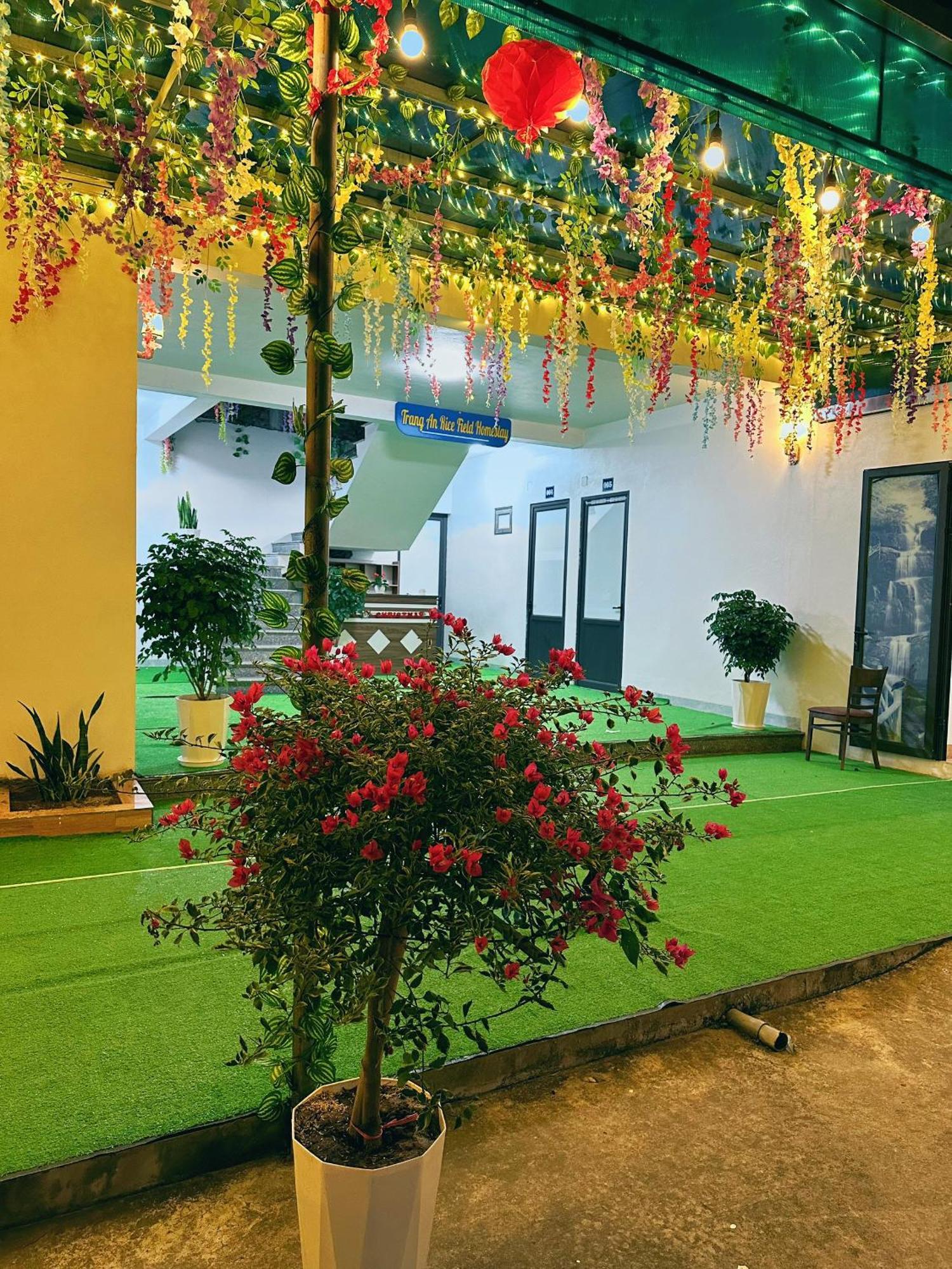 Trang An Rice Field Homestay ニンビン エクステリア 写真