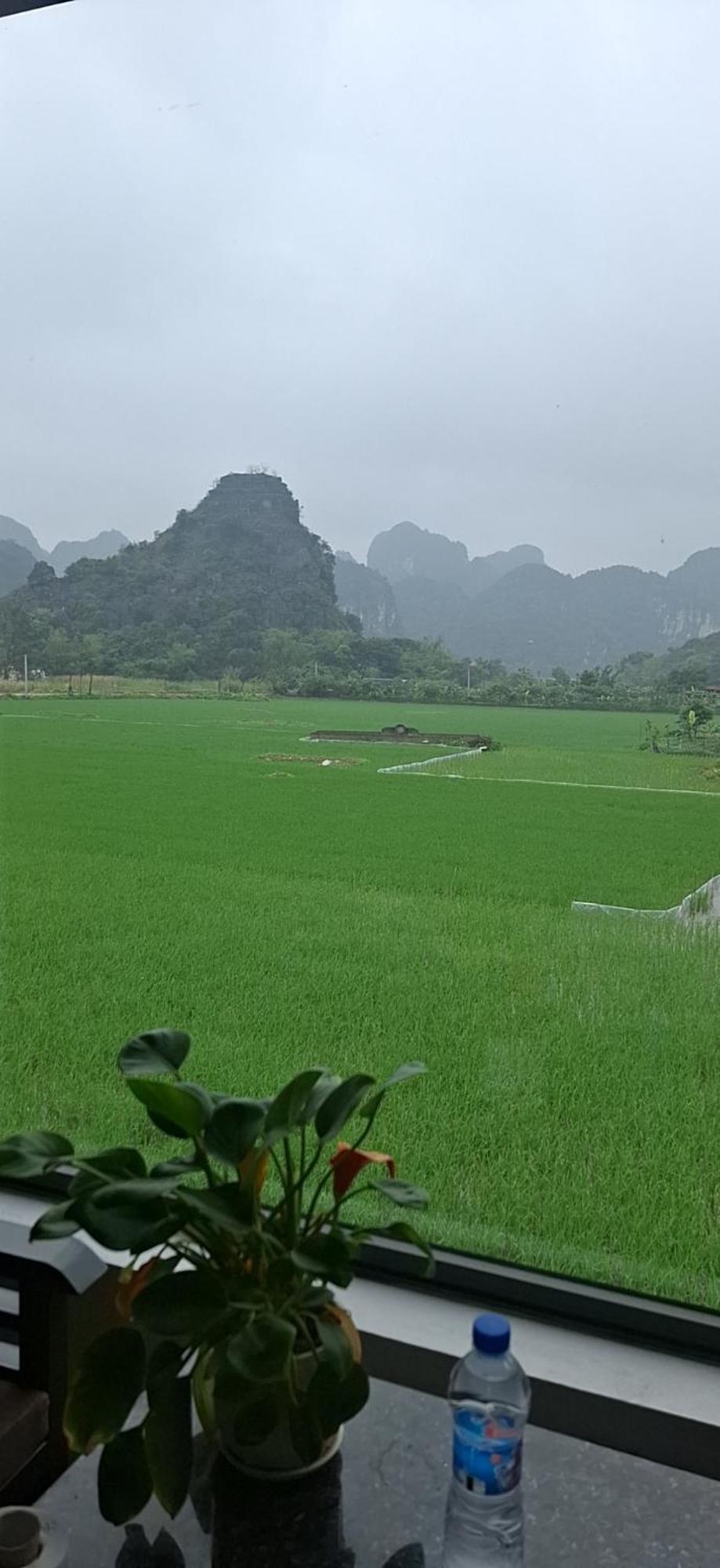 Trang An Rice Field Homestay ニンビン エクステリア 写真